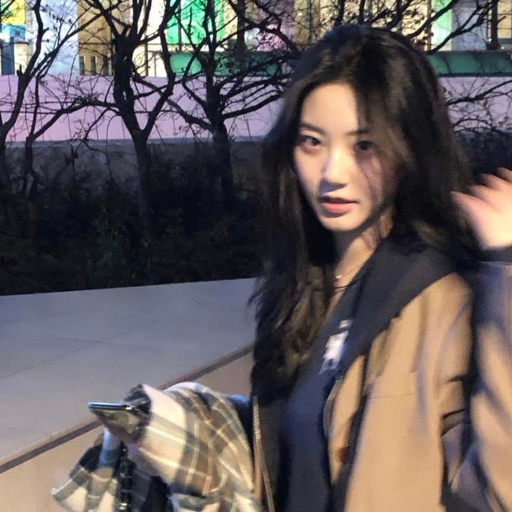 圣诞树2：迟到的情书